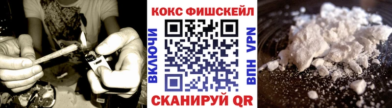 COCAIN Эквадор  как найти наркотики  Цоци-Юрт 