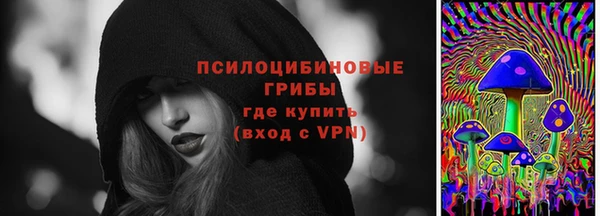 дмт Нефтегорск