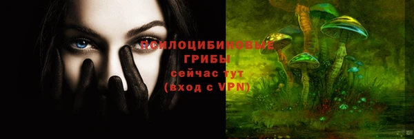 гашик Надым