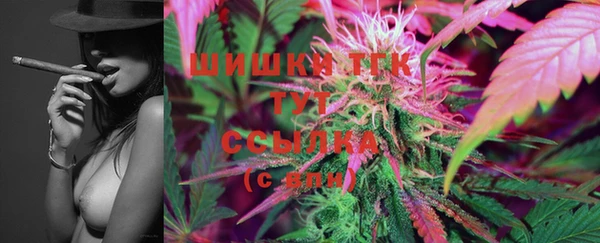 соль ск Нея