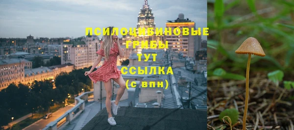 apvp Новозыбков