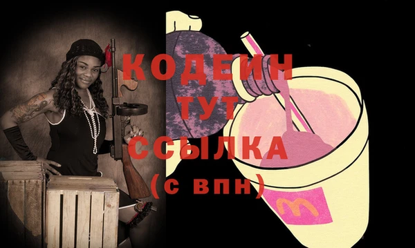 соль ск Нея