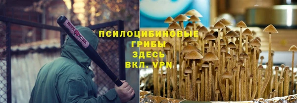 apvp Новозыбков