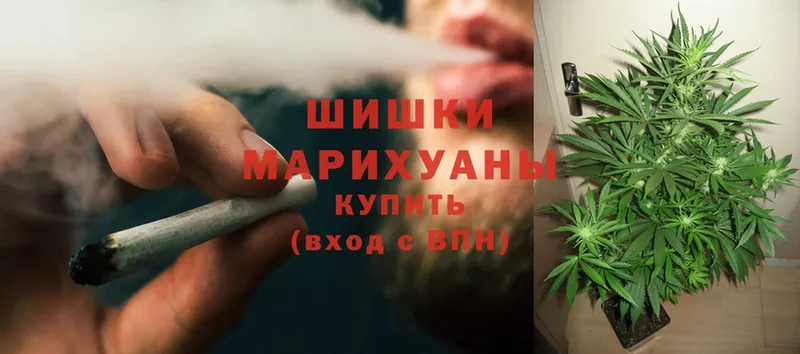 Бошки марихуана Ganja  Цоци-Юрт 